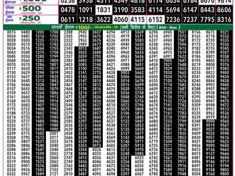 Rajshree Lottery Result Today