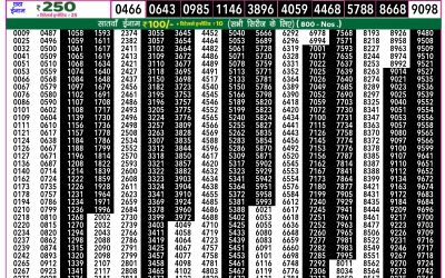 Everest Lottery Result Today Rajshree 50 Guru Weekly Lottery 7.30pm Result 18 September 2025