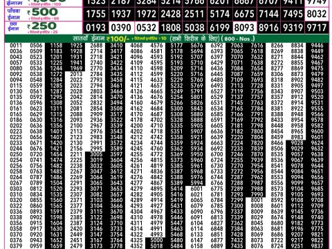 Rajshree Lottery Result Today