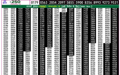 Everest Lottery Result Today Rajshree 50 Budh Weekly Lottery 7.30pm Result 24 September 2025