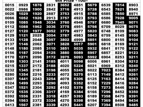 Rajshree Lottery Result Today