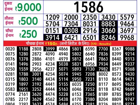 Rajshree Lottery Result Today