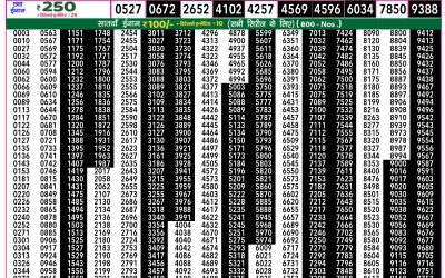 Everest Lottery Result Today Rajshree 50 Shani Weekly Lottery 7.30pm Result 20 September 2025