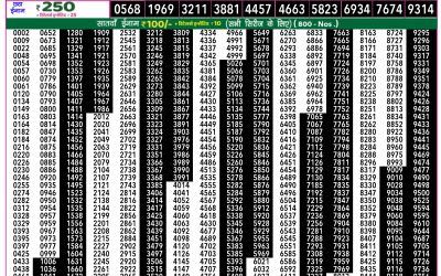Everest Lottery Result Today Rajshree 50 Som Weekly Lottery 7:30pm Result 20 October 2025