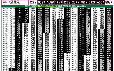 Everest Lottery Result Today Rajshree 50 Ravi Weekly Lottery 7.30pm Result 26 October 2025