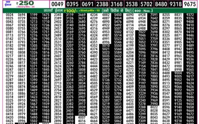 Everest Lottery Result Today Rajshree 50 Mangal Weekly Lottery 7.30pm Result 28 October 2025