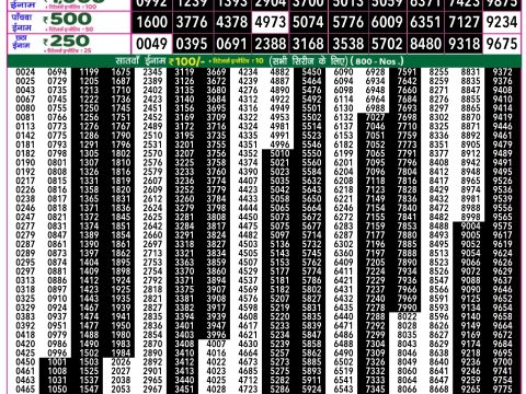 Rajshree Lottery Result Today