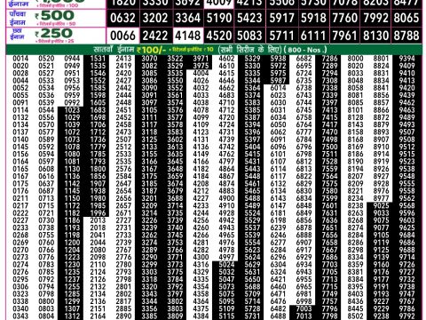 Rajshree Lottery Result Today