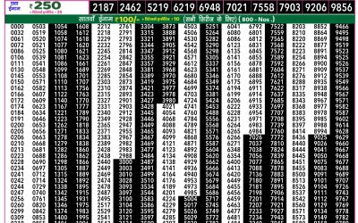Everest Lottery Result Today Rajshree 50 Shukra Weekly Lottery 7.30pm Result 24 October 2025
