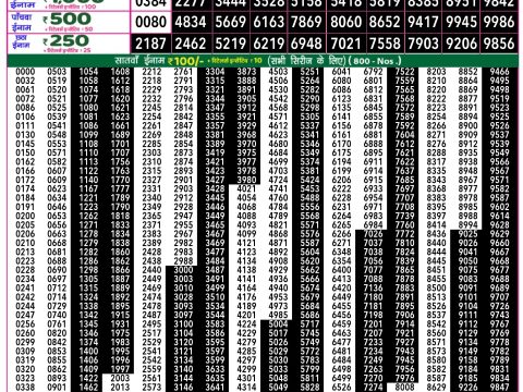 Rajshree Lottery Result Today