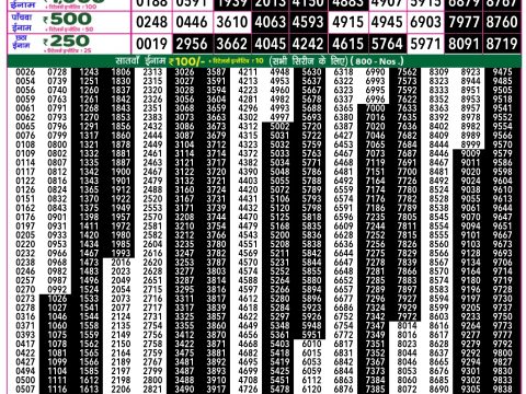 Rajshree Lottery Result Today