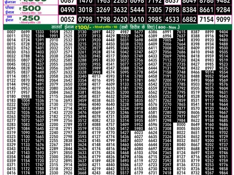 Rajshree Lottery Result Today