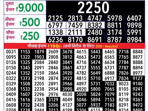 Rajshree Lottery Result Today