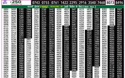 Everest Lottery Result Today Rajshree 50 Shani Weekly Lottery 7.30pm Result 25 October 2025