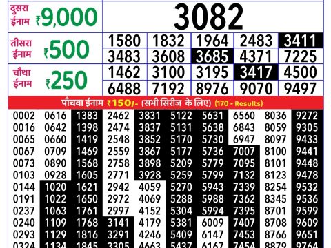 Rajshree Lottery Result Today