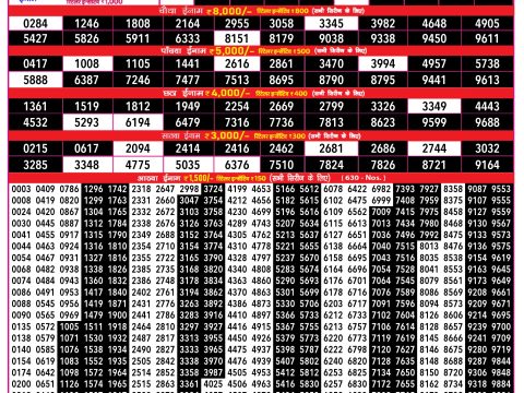 Rajshree Lottery Result Today