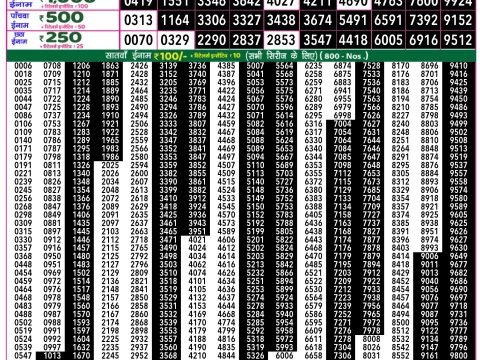Rajshree Lottery Result Today