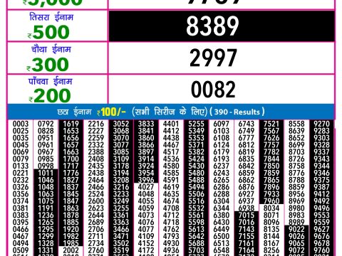 Rajshree Lottery Result Today