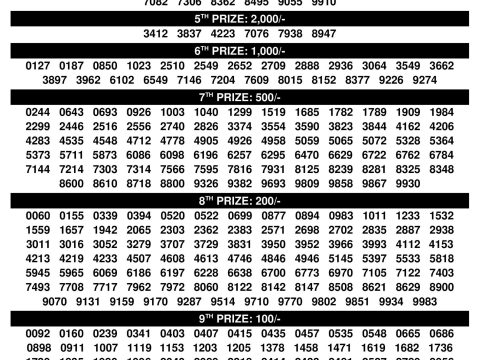 Rajshree Lottery Result Today