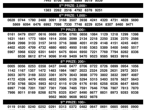 Rajshree Lottery Result Today