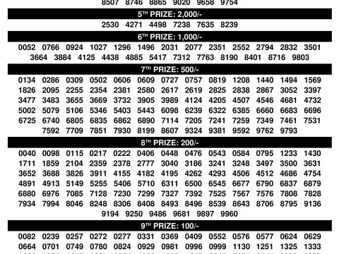 Rajshree Lottery Result Today