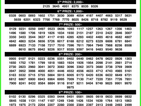 Rajshree Lottery Result Today