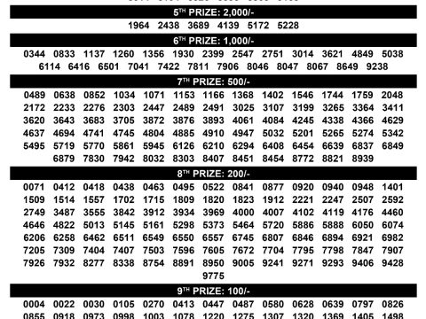 Rajshree Lottery Result Today