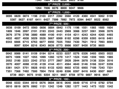 Rajshree Lottery Result Today