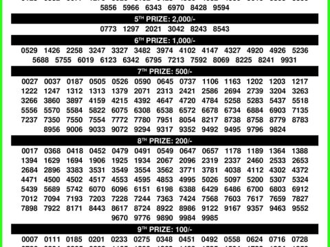 Rajshree Lottery Result Today