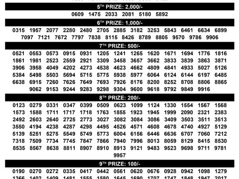 Rajshree Lottery Result Today