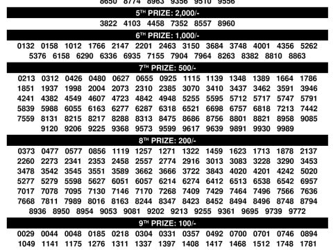 Rajshree Lottery Result Today