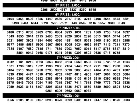Rajshree Lottery Result Today