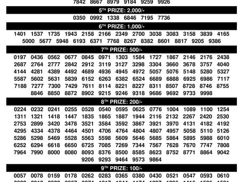 Kerala Lottery Result DhanaLekshmi DL24 3PM 29.10.2025 Rajshree Lottery Result Today