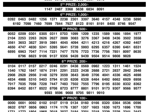 Rajshree Lottery Result Today