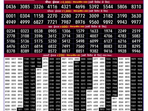 Rajshree Lottery Result Today