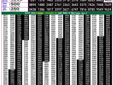 Rajshree Lottery Result Today