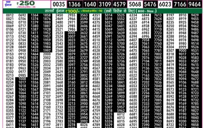 Everest Lottery Result Today Rajshree 50 Som Weekly Lottery 7:30pm Result 27 October 2025