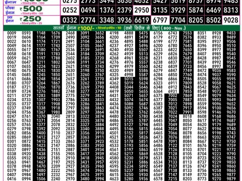 Rajshree Lottery Result Today