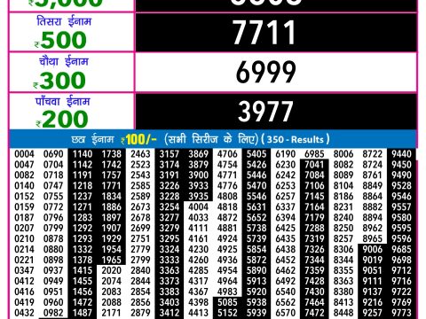 Rajshree Lottery Result Today