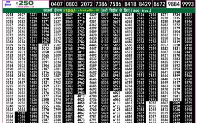 Rajshree 50 Budh Weekly Lottery 7:30pm Result 29 October 2025
