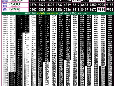 Rajshree Lottery Result Today