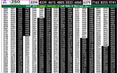 Rajshree 50 Budh Weekly Lottery 7:30pm Result 08 October 2025