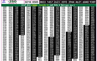 Everest Lottery Result Today Rajshree 50 Shani Weekly Lottery 7.30pm Result 11 October 2025
