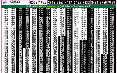 Everest Lottery Result Today Rajshree 50 Ravi Weekly Lottery 7.30pm Result 12 October 2025