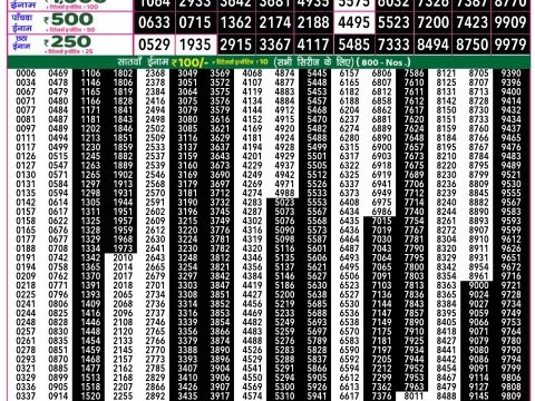 Rajshree Lottery Result Today