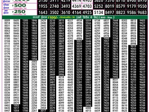 Rajshree Lottery Result Today