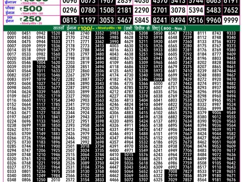 Rajshree Lottery Result Today