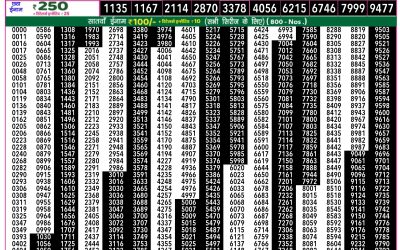 Everest Lottery Result Today Rajshree 50 Mangal Weekly Lottery 7.30pm Result 11 November 2025