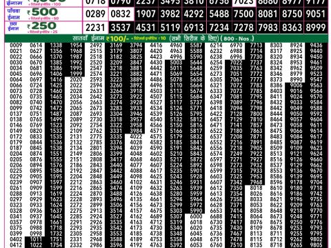 Rajshree Lottery Result Today
