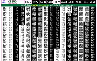 Everest Lottery Result Today Rajshree 50 Som Weekly Lottery 7:30pm Result 10 November 2025